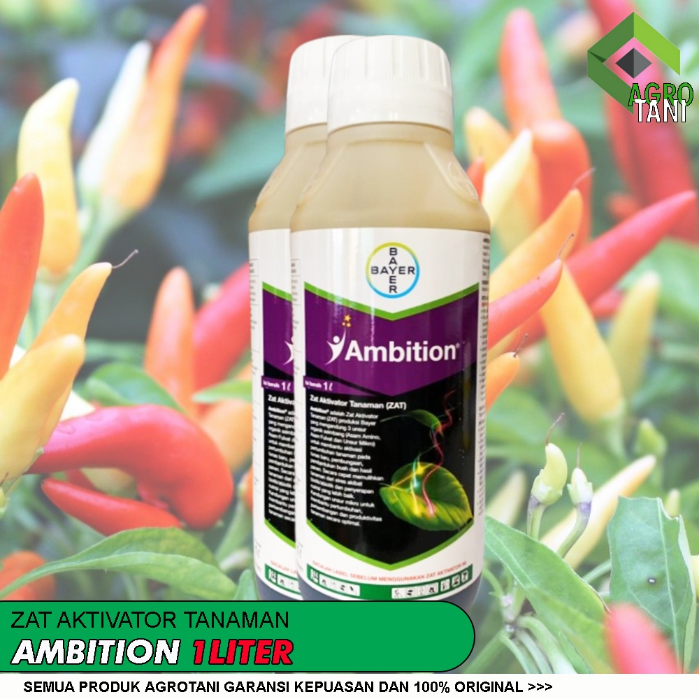 Zat Aktivator Tanaman Ambition 1 liter PT. Bayer