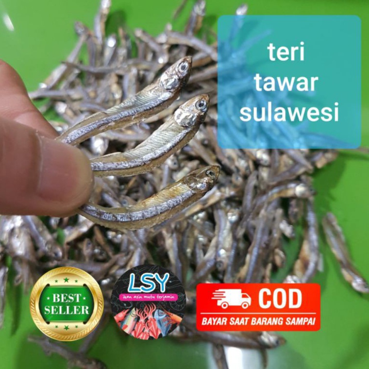 

FLASH SALE ikan asin teri tawar super 25gr