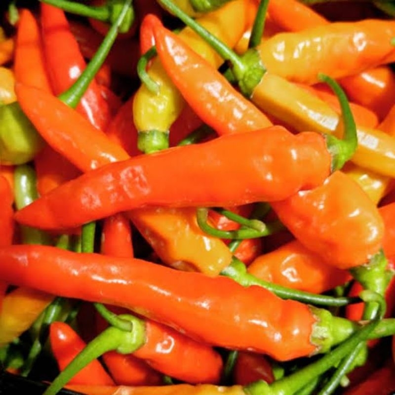 

Cabe / Cabai Rawit Merah hijau 500 grm