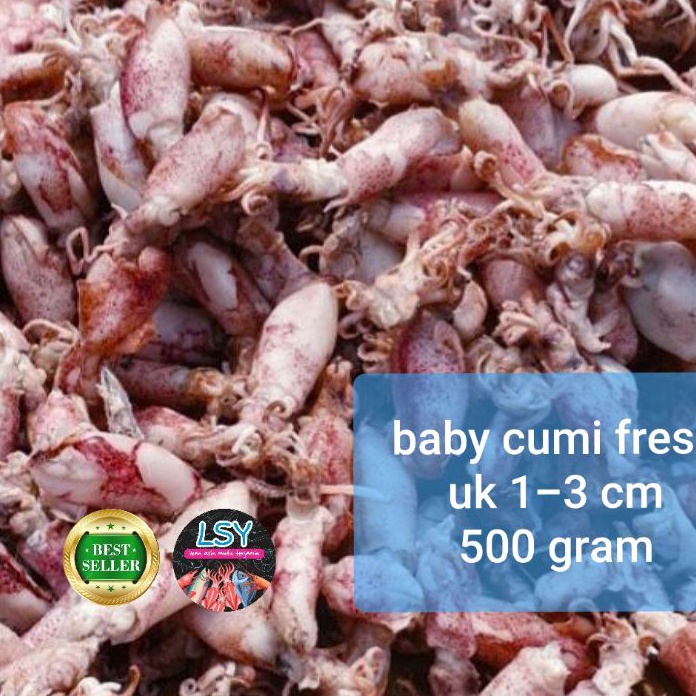 

PALING AMPUH ikan asin baby cumi cumi asin cumi rebus 78 berat 5gram
