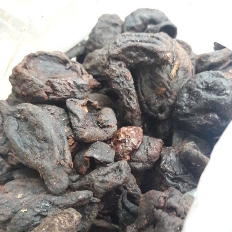 

BEST SELLER Asam Kandis Padang asli 1kg kualitas terbaik
