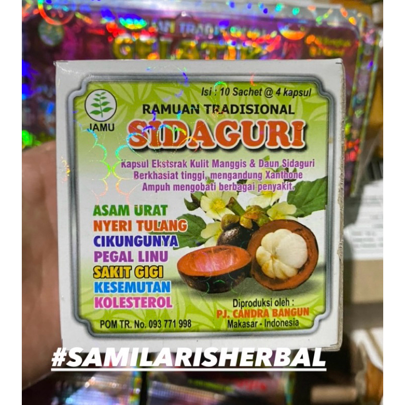 SIDAGURI KAPSUL ORIGINAL