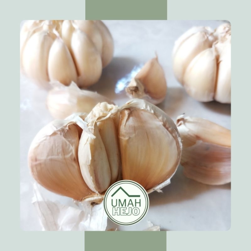 BAWANG PUTIH - 100GR / 1ONS