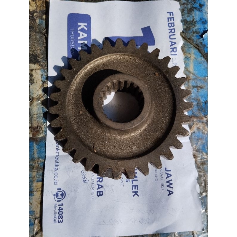 Gear Gigi Bantu 19x31 Model GIGI RATA Hardtop