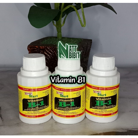 Vitamin B1 Untuk Tanaman