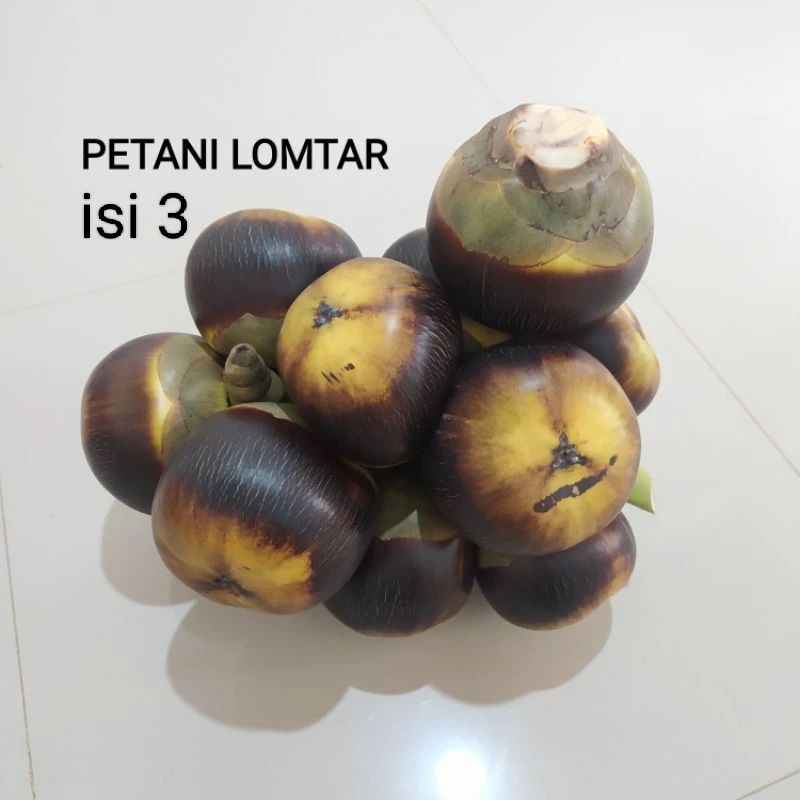 

Buah Lontar/ Siwalan, Satu buah isi 3