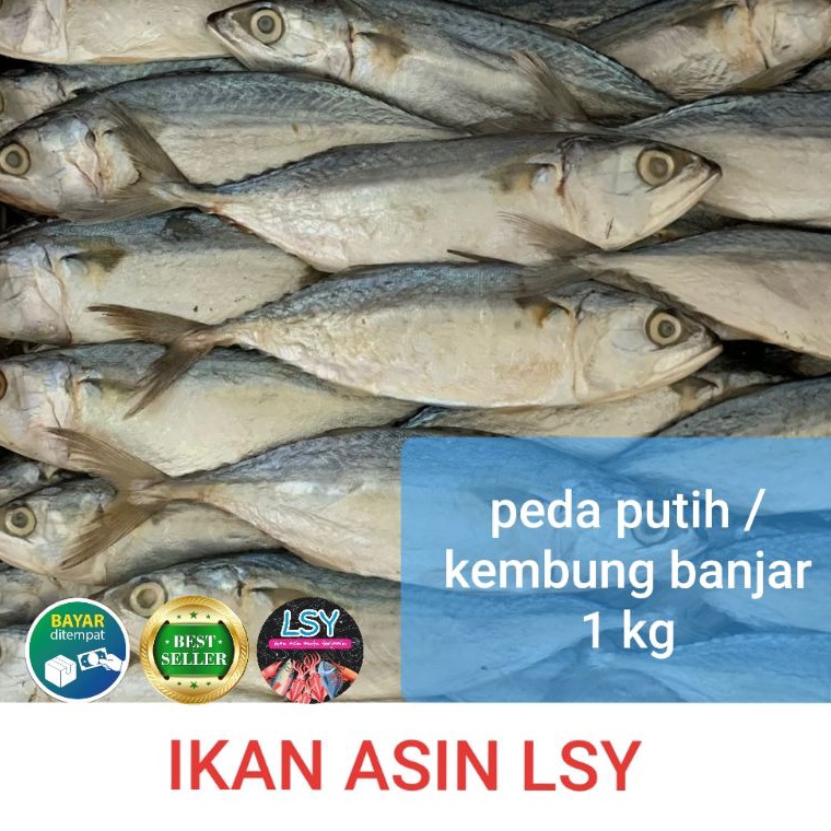 

PAKET LENGKAP ikan asin Peda putih super kembung banjar 1 kg