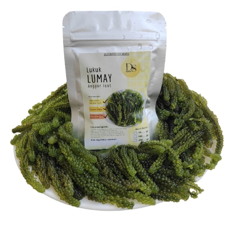 

Dehydrated Sea Grapes Seaweed Anggur Laut Dehydrated Green Caviar Lawi-Lawi Latoh Umibudo