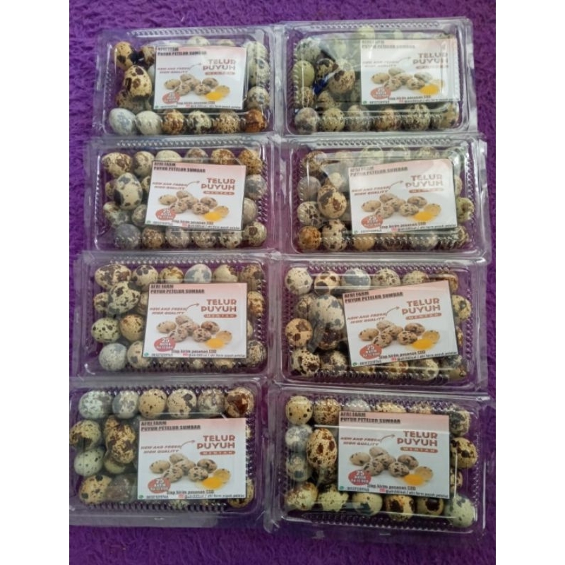 

TELUR PUYUH ISI 25BUTIR PERMIKA LANGSUNG DARI KANDANG NEW AND FRESH