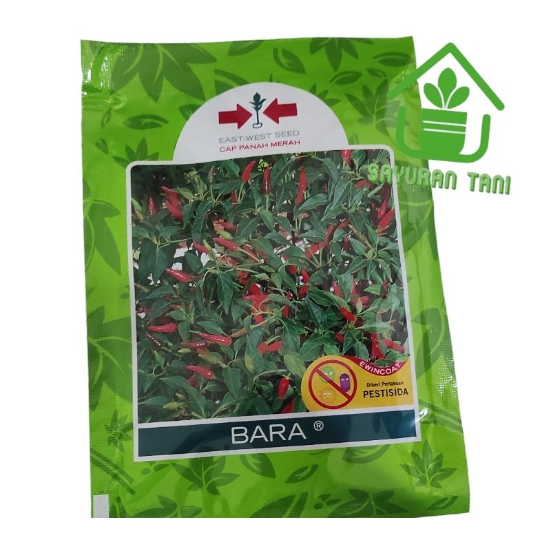 Benih Cabe Rawit Hijau BARA isi 3.200 butir