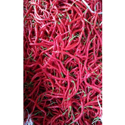 

READY STOK Cabe Cabai KRITING MERAH Segar KG