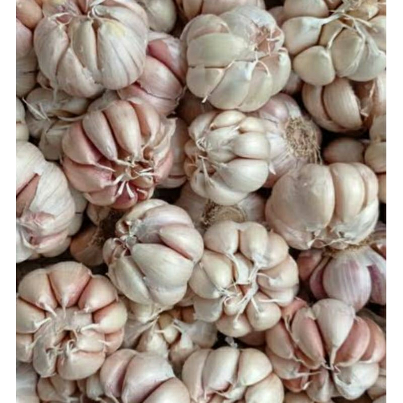 

Bawang putih . 1 Kg
