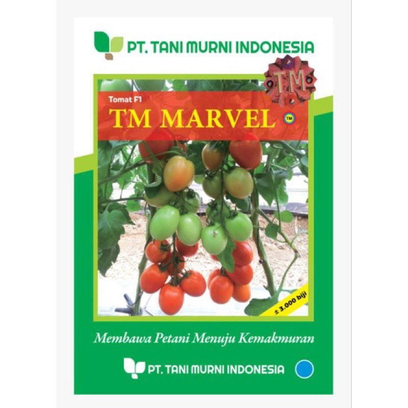 Benih bibit Tomat Hibrida Tm Marvel F1 10 gram 3000 butir