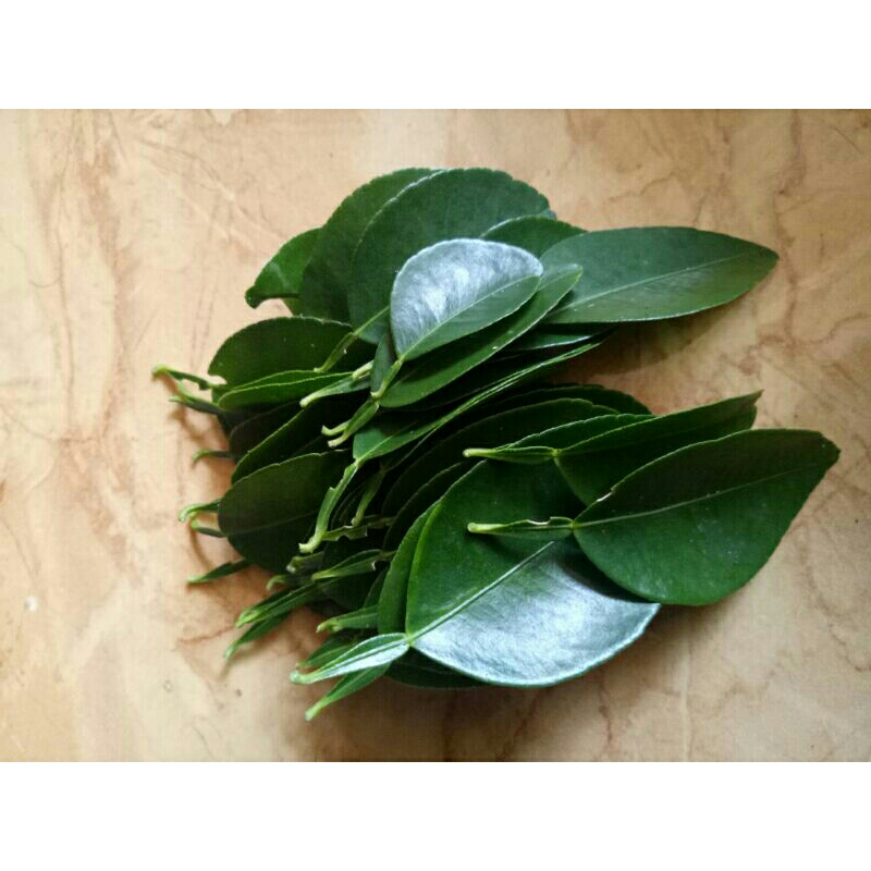 

Daun jeruk purut limau segar 100 gr Citrus hystrix