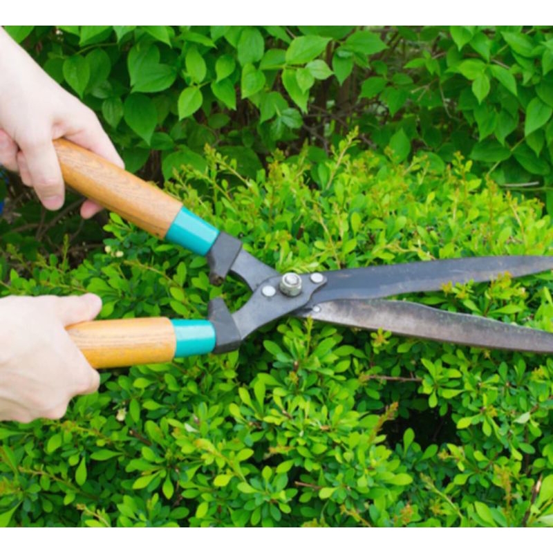 Gunting Rumput Super Tajam 48CM Gunting Potong Rumput Besar