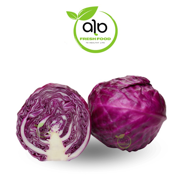 

Kol Ungu/Kubis Ungu SEGAR Sayur Segar - ALO Fresh food