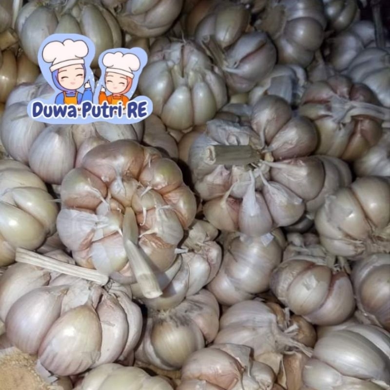 

bawang putih pilihan 250gr