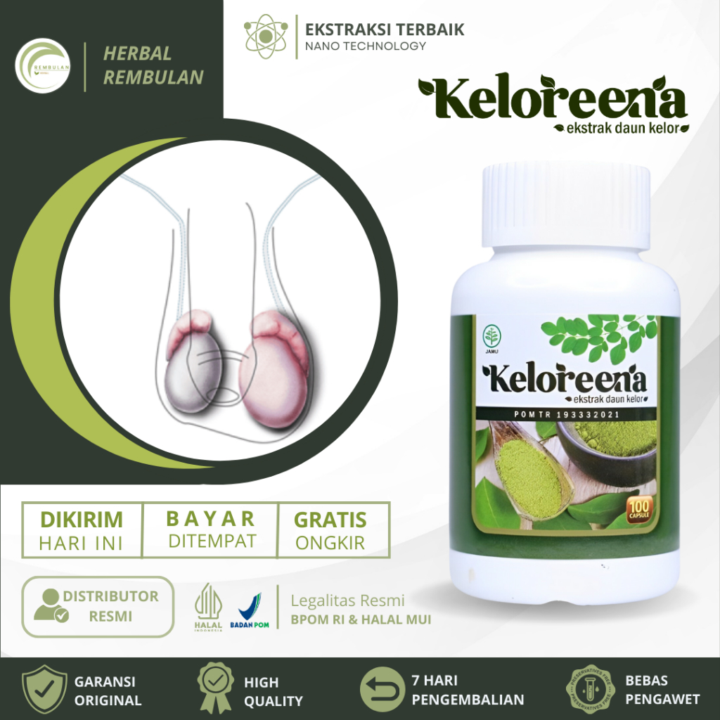 Obat Hidrokel Buah Zakar Bengkak, Obat Buah Zakar Bengkak Sebelah Kanan Kiri, Obat Orchitis Benjolan