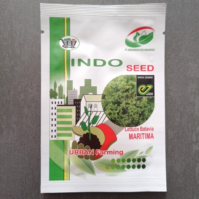 TERMURAH benih selada Batavia /Benih Bibit Selada Maritima Lettuce Batavia Maritima EZ Indo Seed 1gr