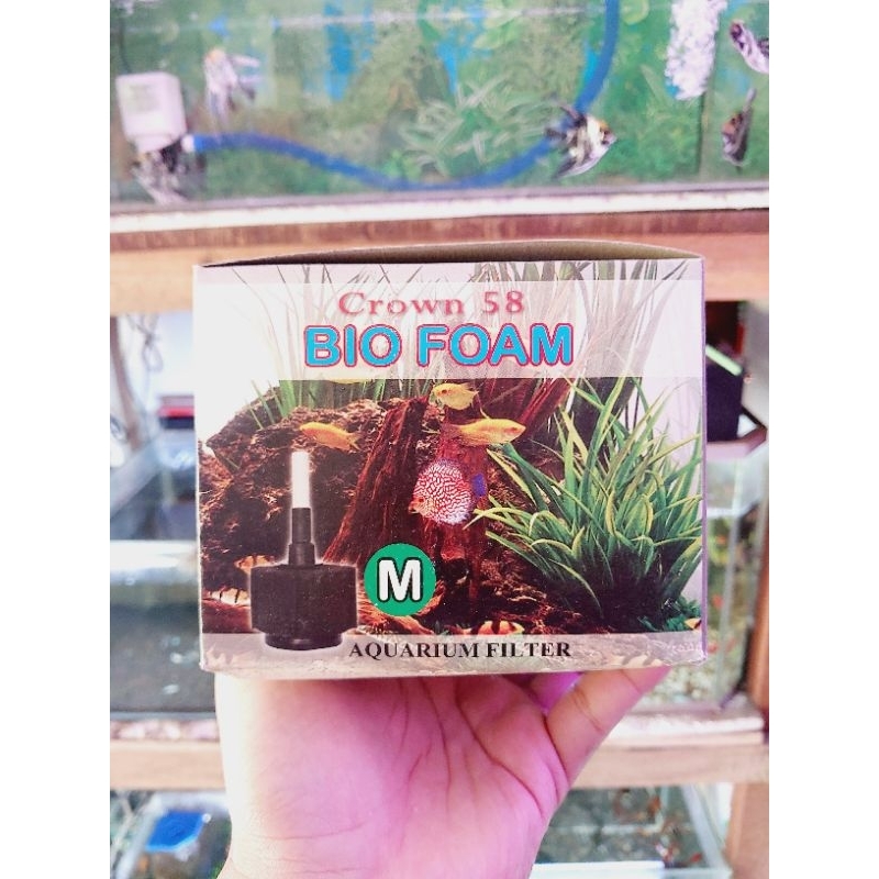 bio foam filter size M