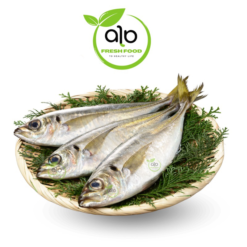 

Ikan Gembung Aso 500gr - ALO Fresh food