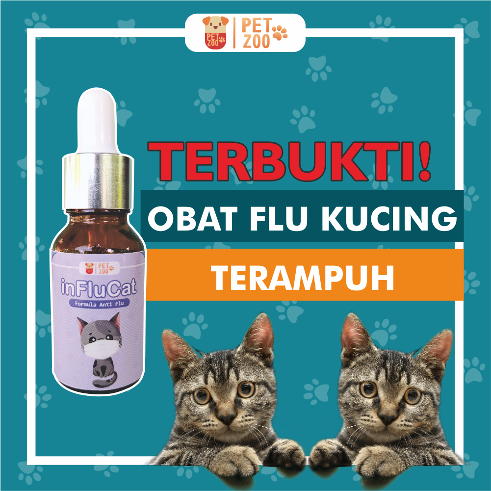 INFLUCAT Obat Flu Kucing Paling Ampuh