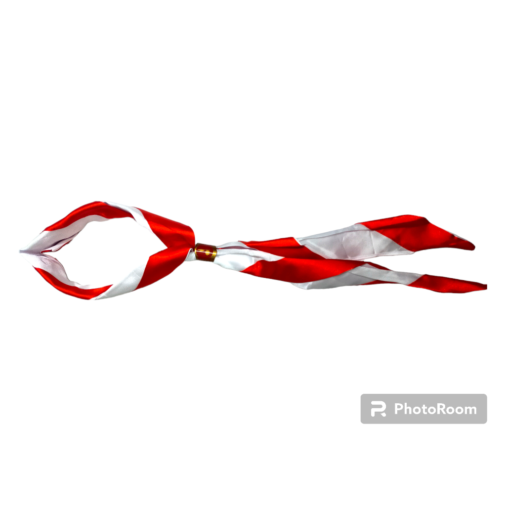 Kacu Pramuka SD Tingkat Penggalang dan Ring Kacu