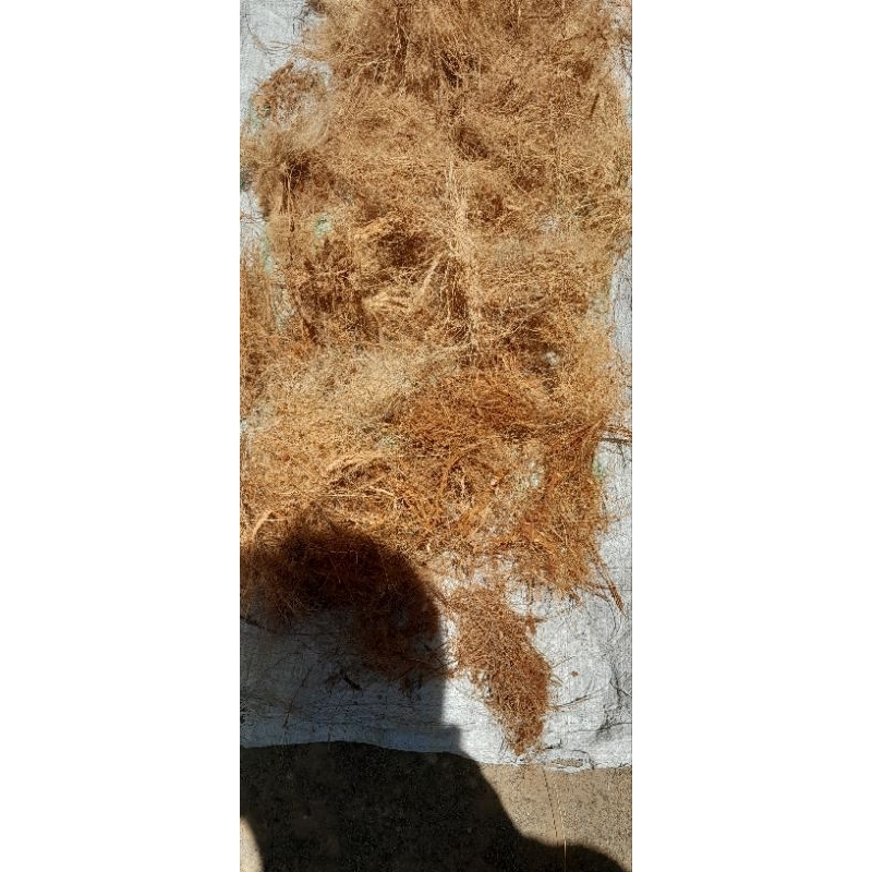 Coco Fiber