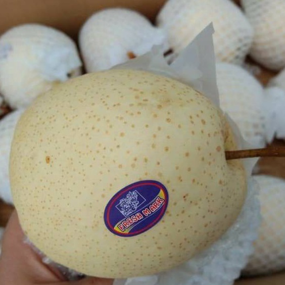

Penjualan TerbaikCOD buah pir madu sweet pear manis 1kg