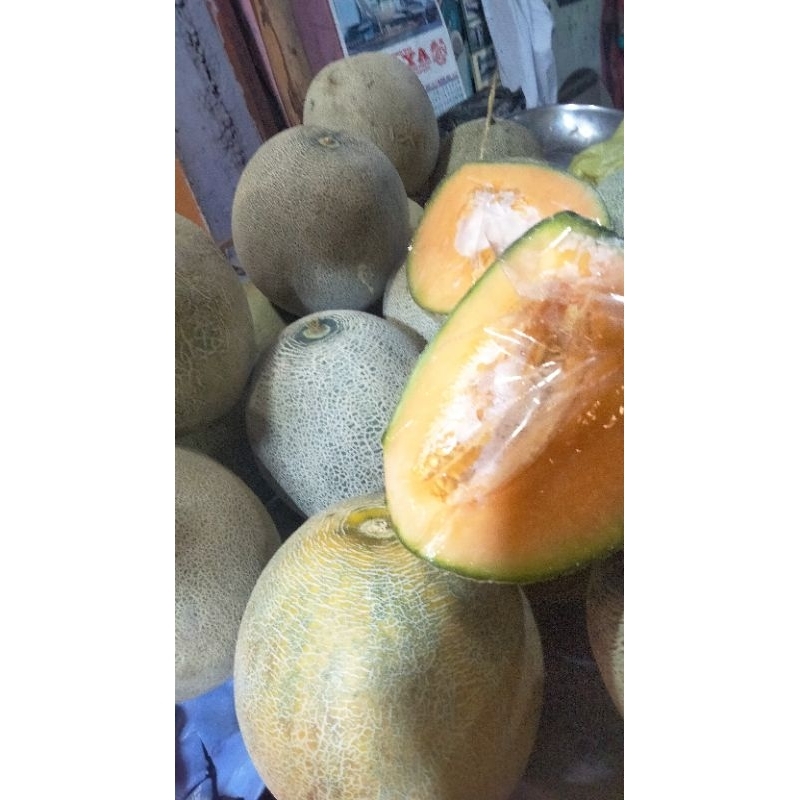 

melon segar melon oren
