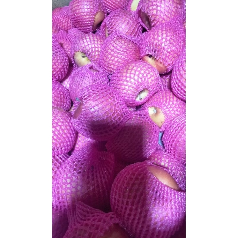 

Apple merah manis 1kg