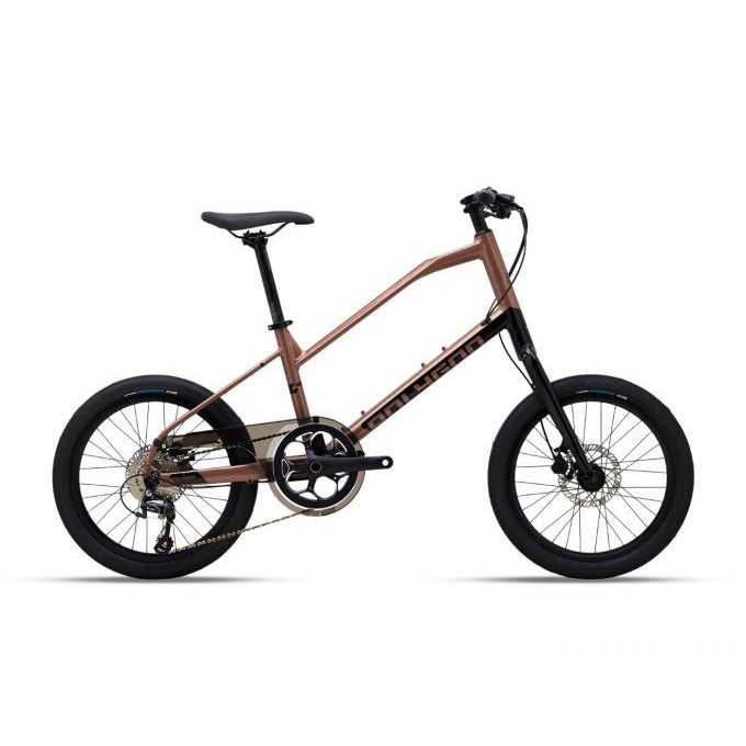 Sepeda Mini Velo Polygon Zeta 2 - Sepeda Mini Velo