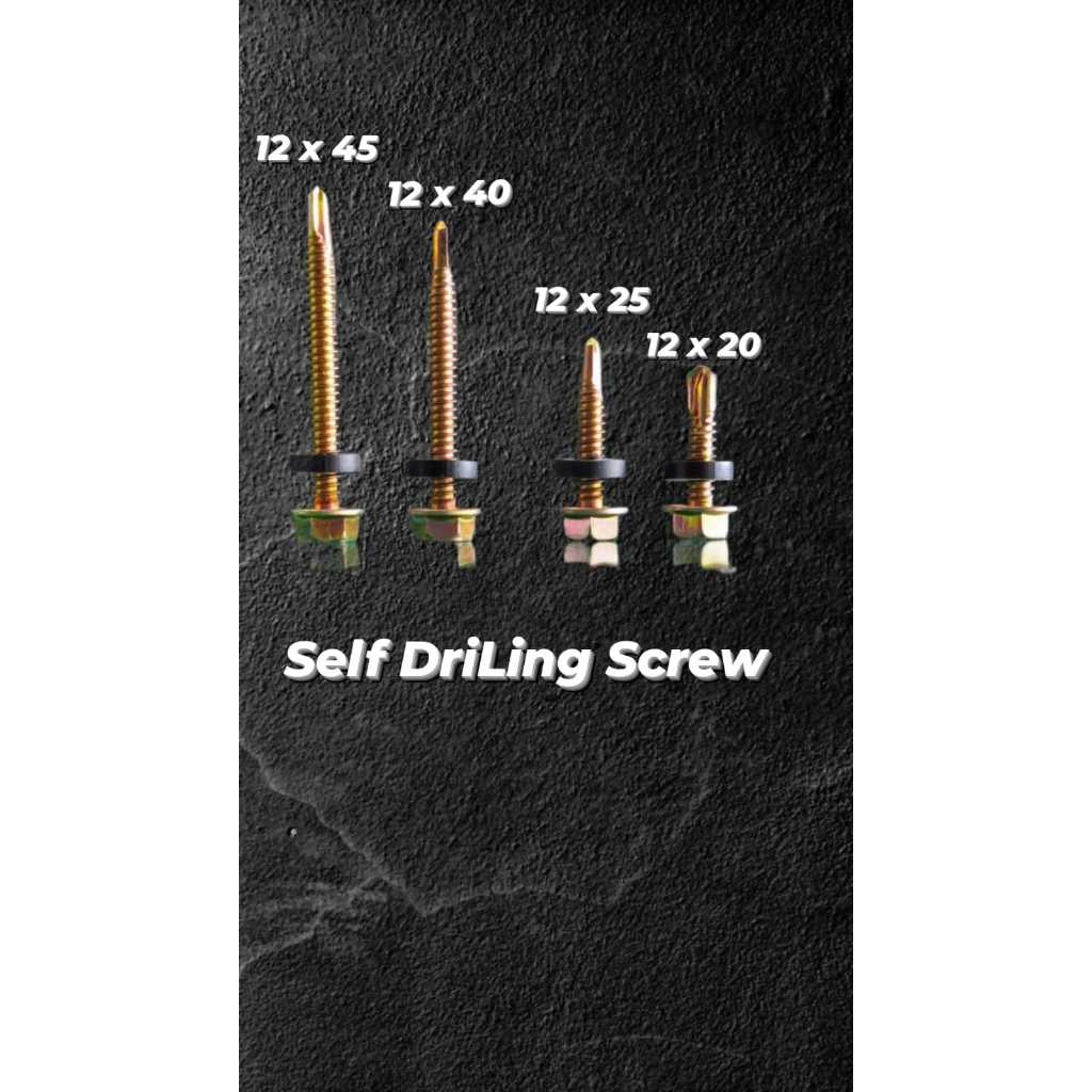 BAUT SElF DRILING / SDS /  SELF DRILING SCREW / BAUT BAJA RINGAN, 12X20, 12X25, 12X40, 12X45