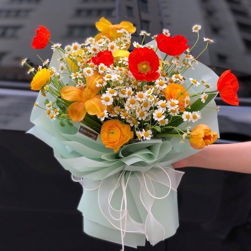 

Cello transparan polos bucket Sumbersekarsari