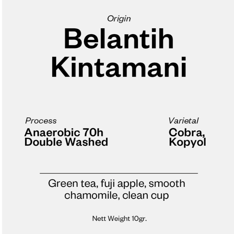 

Coffee Drip - Belantih Kintamani 10gr
