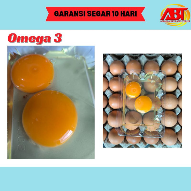 

ABT - Telur Ayam Omega 3 1 tray isi 30 butir