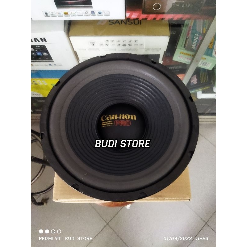 Cannon woofer 10 inch