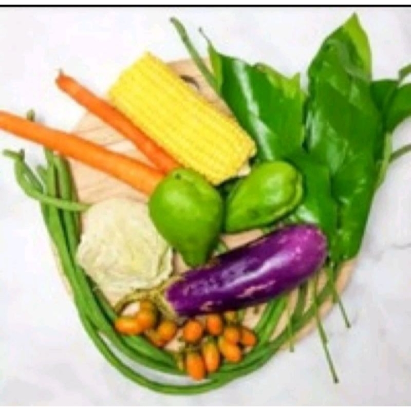 

Paket Hemat sayur lodeh