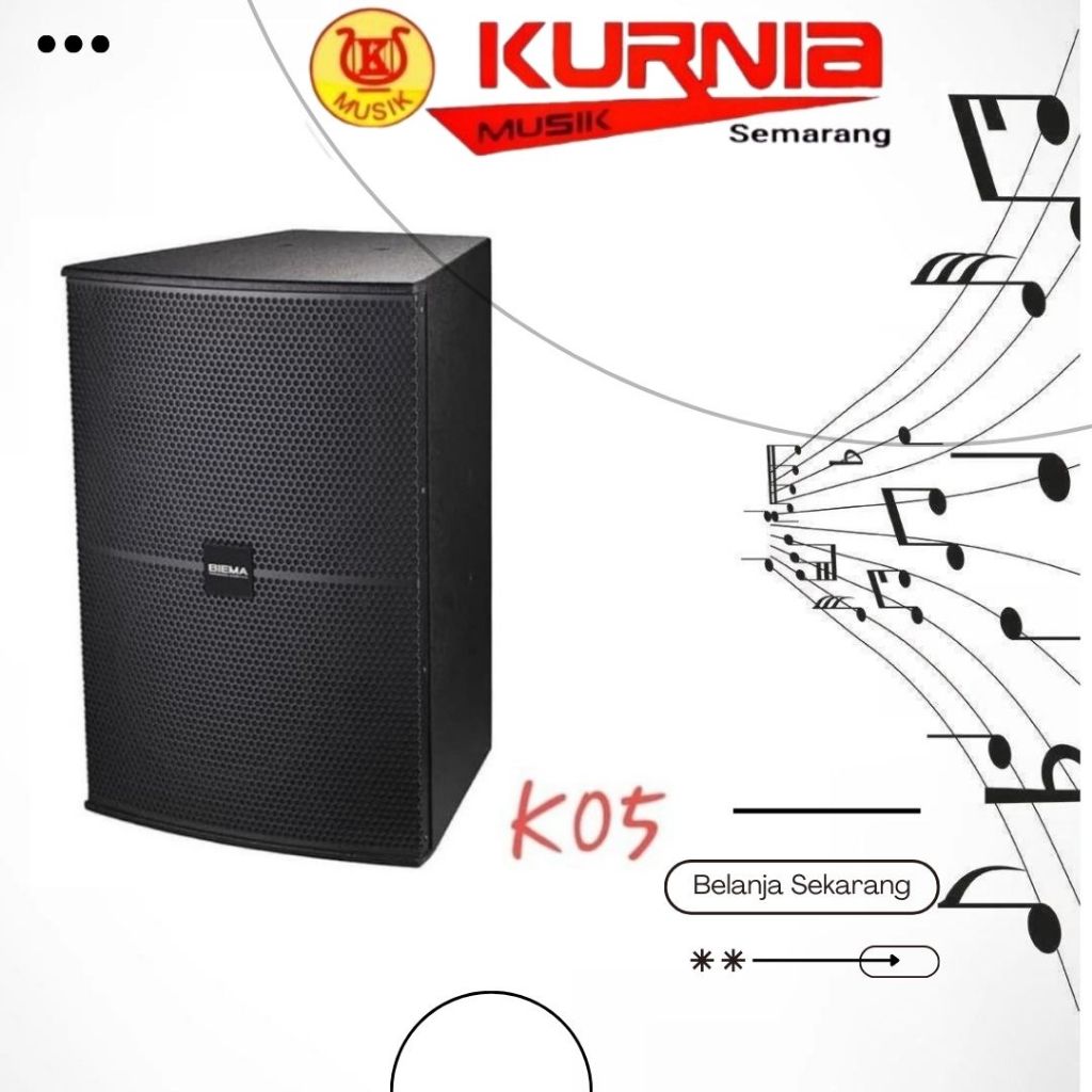 BIEMA K05 2x10 Inch 300 Watt Professional Pasif Speaker - Hrg Per Unit