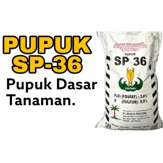 Pupuk SP-36 Penyedia unsur Hara Tanaman Repack
