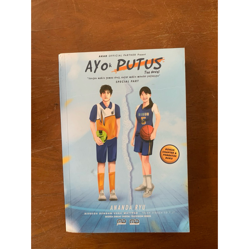Novel Preloved Ayo Putus, Ananda Ryu