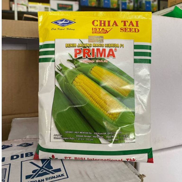 BENIH JAGUNG MANIS F1 PRIMA