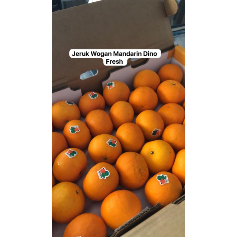 

hampers imlek jeruk wogam Dino dan papagan