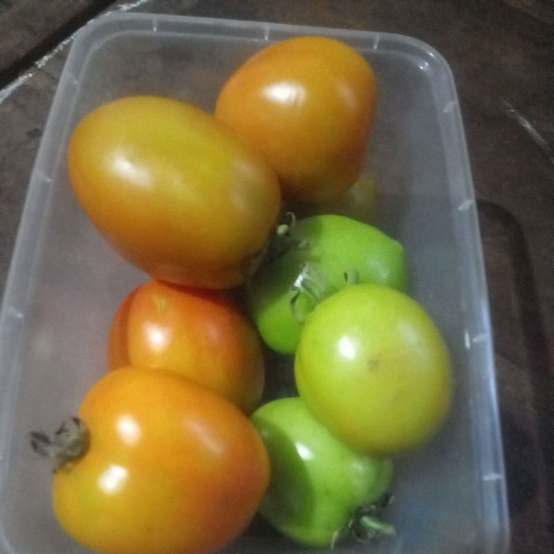 

tomat