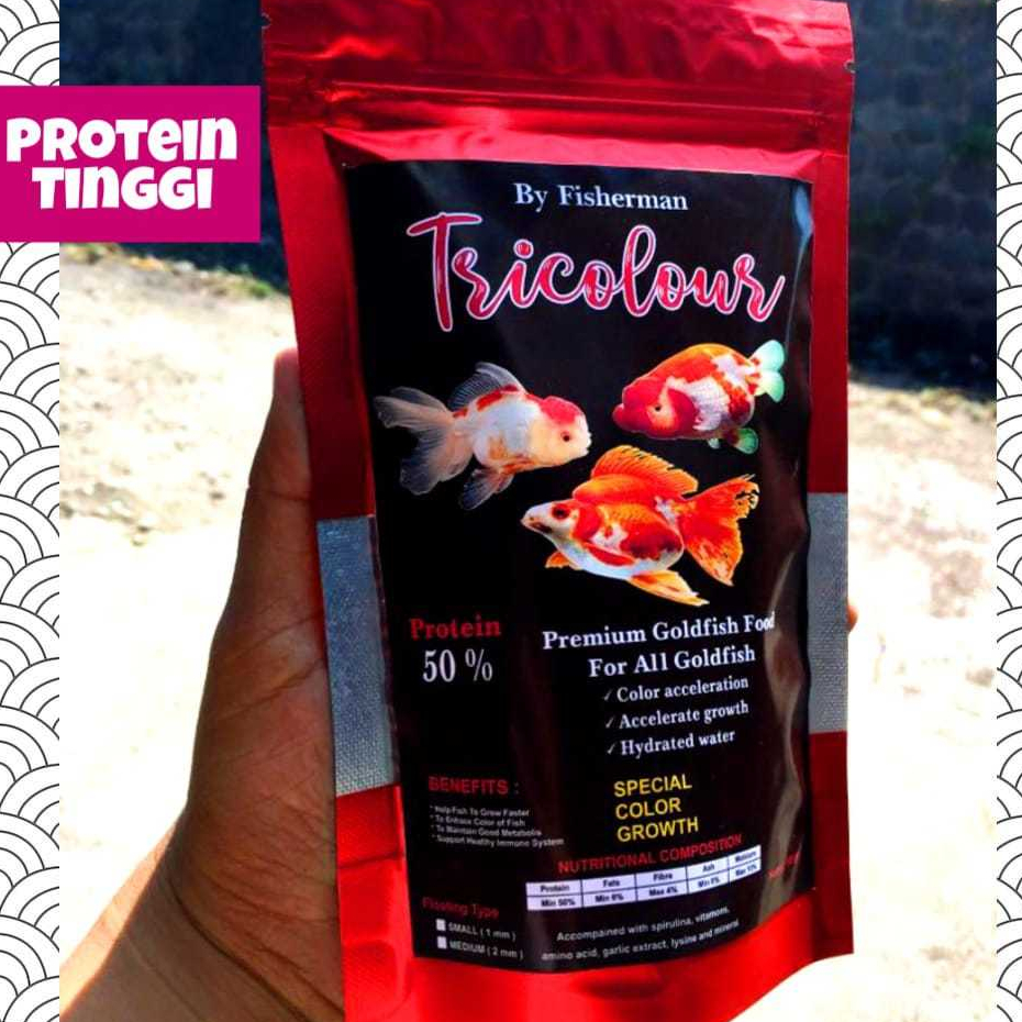 pakan koki pertumbuhan dan warna pelet goldfish