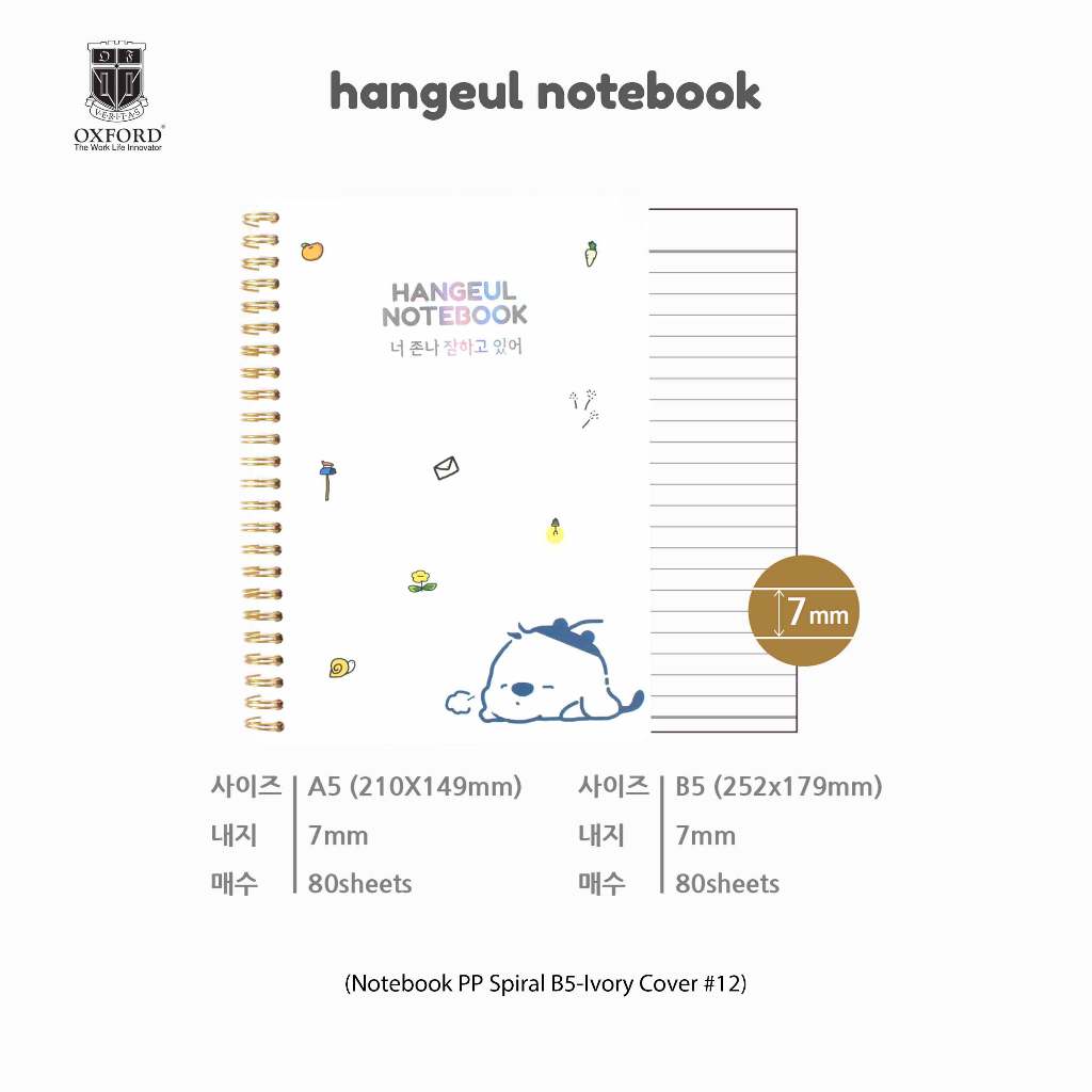 

2024 Design IV Spiral B5 #12 (D455B5)