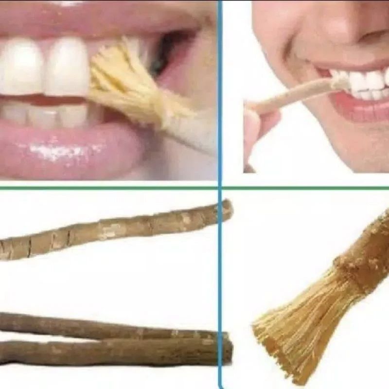Siwak nyiwak Asli Sunat kayu arok Originl