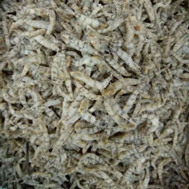 

penja khas palu sulawesi tengah