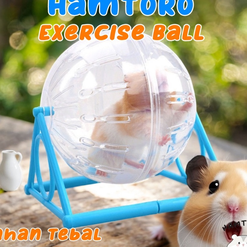 Istimewa Hamtoro Exercise Ball 2 in 1 Bahan TEBAL  Besar Mainan Kincir Hamster