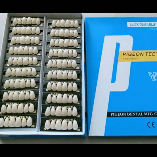 Price Gigi Palsu Pigeon anterior depan  gigi tiruan  resin teeth dental